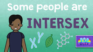 Intersex Explained Sex Positive Families