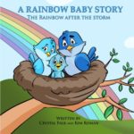 A Rainbow Baby Story: The Rainbow After the Storm (Explain It To Me!) (Volume 2)